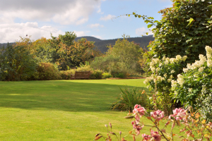 ardtornish gardens