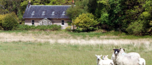 Craigendarroch 2