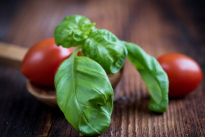 tomatos