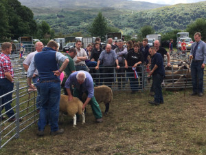Ardtornish staff and colleagues at the Sunart show, well done to all!