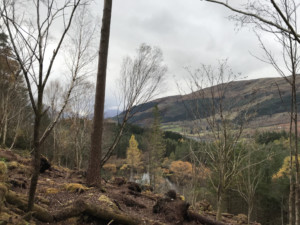 Glencoe