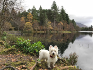 Glencoe