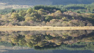 Rahoy Hills Nature Reserve