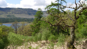 Rahoy Hills Nature Reserve