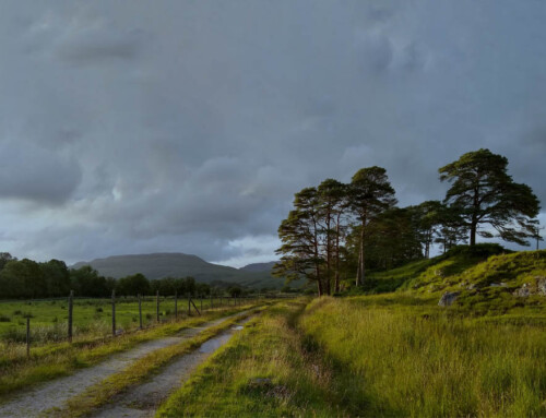 Whole Environment Green Leaders Retreat – Ardtornish, Scotland