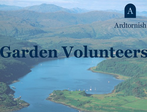 Volunteer Gardening Opportunities