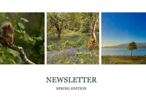 Spring Newsletter 2024