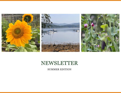 Summer Newsletter 2025