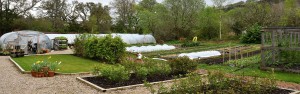 Kitchen garden polytunnels and beds