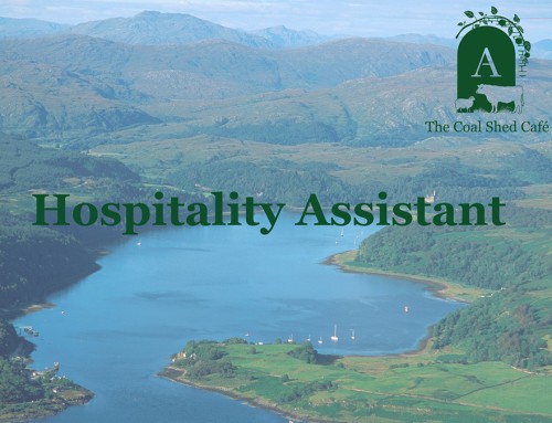 Full-time Hospitality Assistant