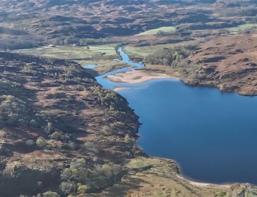 Ardtornish Nature News – Issue 1